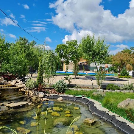 Casa Elis Piscina, Jacuzzy , Sauna, Ciubar Merei Extérieur photo