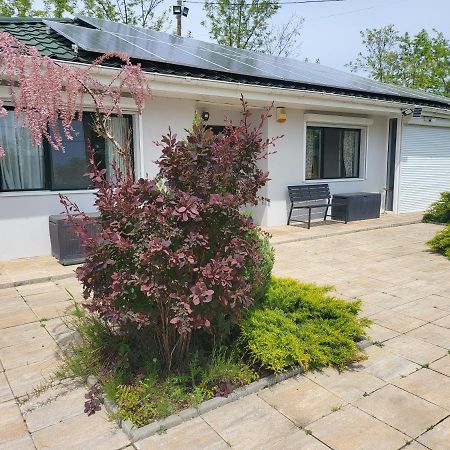 Casa Elis Piscina, Jacuzzy , Sauna, Ciubar Merei Extérieur photo
