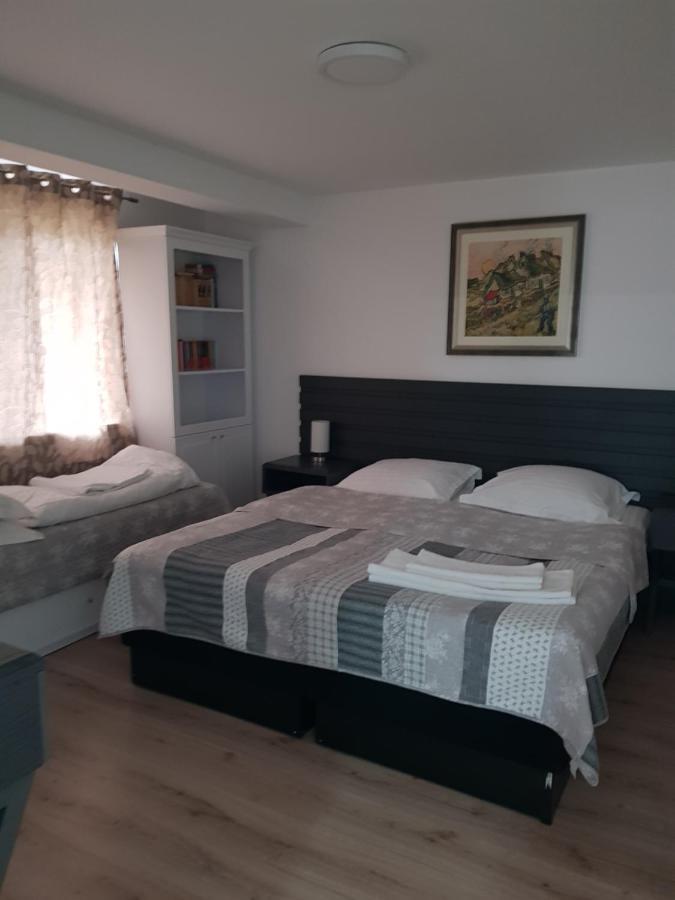 Casa Elis Piscina, Jacuzzy , Sauna, Ciubar Merei Extérieur photo