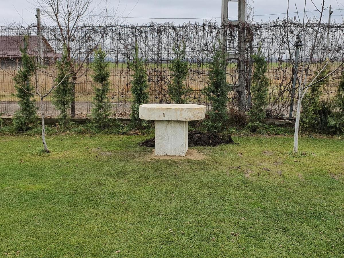 Casa Elis Piscina, Jacuzzy , Sauna, Ciubar Merei Extérieur photo