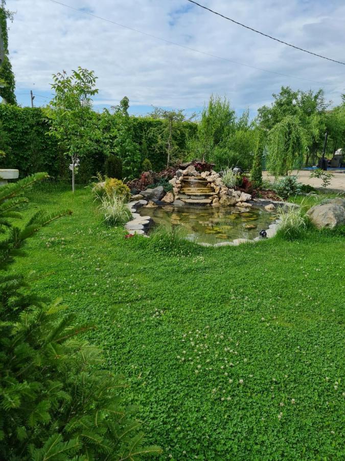 Casa Elis Piscina, Jacuzzy , Sauna, Ciubar Merei Extérieur photo