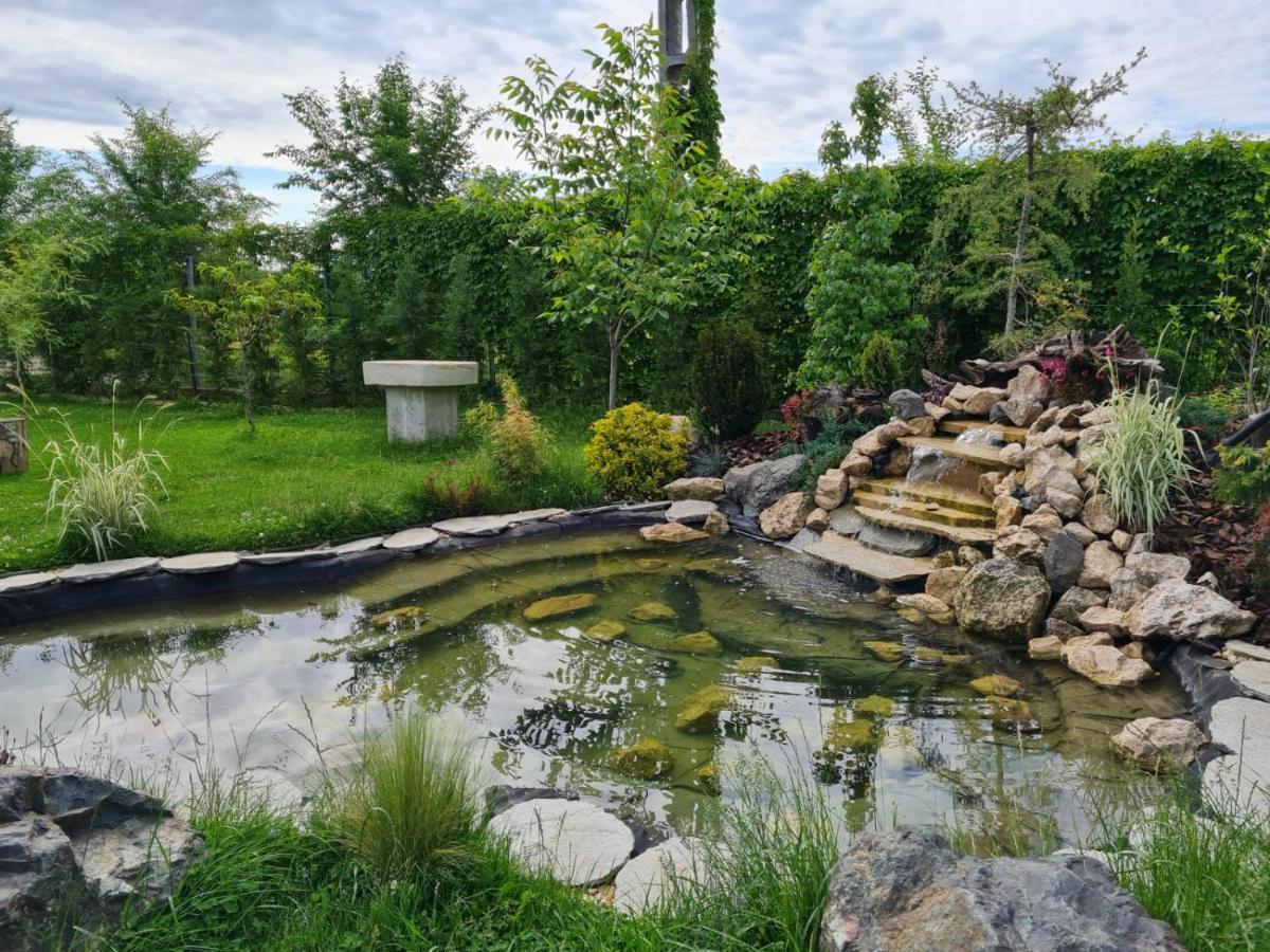 Casa Elis Piscina, Jacuzzy , Sauna, Ciubar Merei Extérieur photo