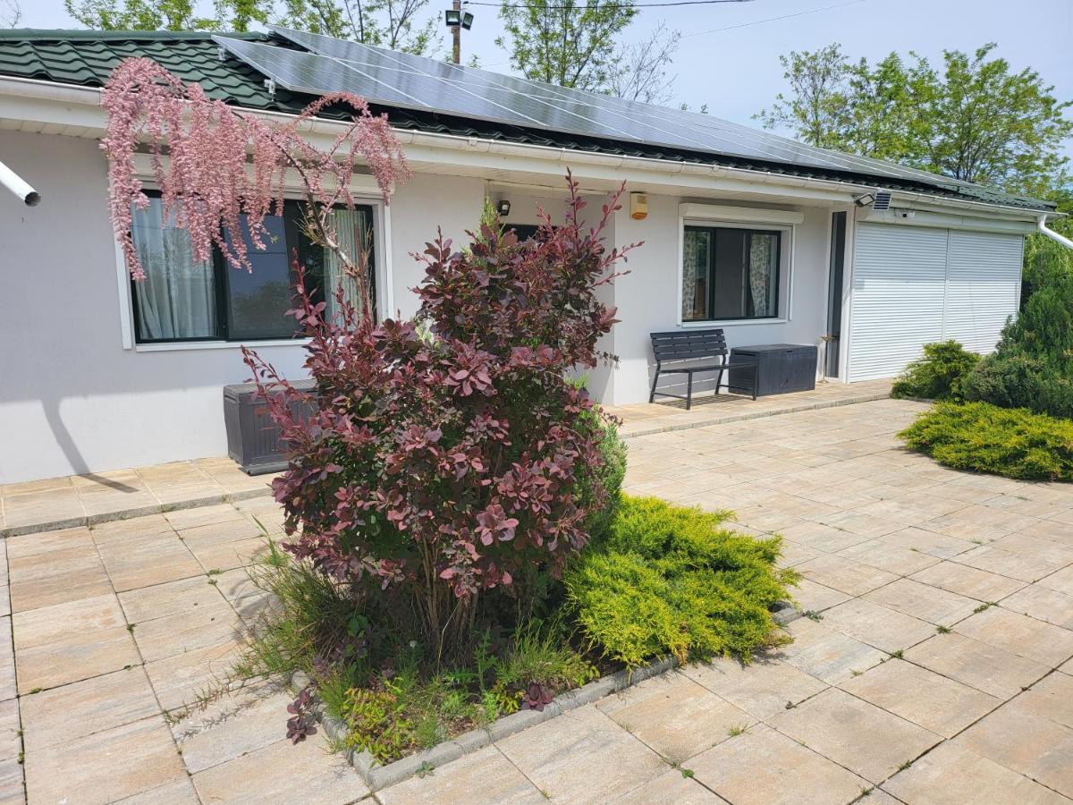 Casa Elis Piscina, Jacuzzy , Sauna, Ciubar Merei Extérieur photo