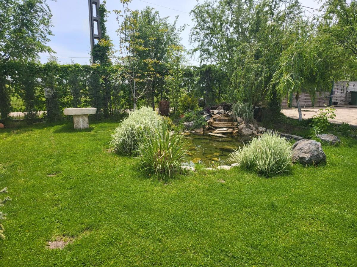 Casa Elis Piscina, Jacuzzy , Sauna, Ciubar Merei Extérieur photo